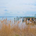Seeufer mit Steg, Schilf und Booten unter blauem Himmel