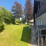 Hinterhof mit Grünfläche, Bäumen und Steinallee neben Gebäude