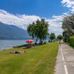 Green lakeside area with trees and path. People relax under umbrellas.
