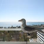 Wooden bird figure in front of a window with sea view.