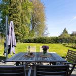 Wooden table with chairs and umbrella in the garden. Lawn and hedge in the background.