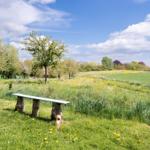 A bench made of tree trunks stands in the grass. Trees and fields are visible under a blue sky.