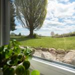 Through the window, a green garden with a tree and a stone fence is visible.