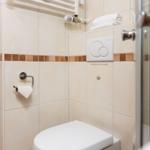 Bad mit Toilette, Dusche und Handtuchhalter
