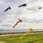 Große Drachen- und Fischkästen fliegen über Strand und Grünfläche.