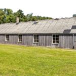 Holzhaus mit Wellblechdach und mehreren Fenstern in grüner Umgebung