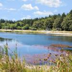 Ein See mit Uferbereich, umgeben von Wald und Bäumen unter blauem Himmel.