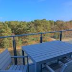 Terrasse mit Tisch und Stühlen. Blick auf Wald und Himmel.