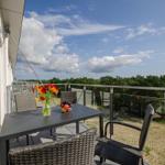 Terrace with table, chairs, flowers, and fruit. View of forest and sky.