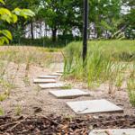 Stone path through grass and sand, surrounded by trees and grasses.