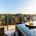 Terrace with glass railing, table, chairs, and fruit. View of forest.