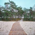 Wooden path through sandy area to woodland