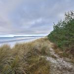 Path through dunes with view of beach and sea