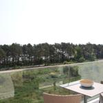 Terrasse mit Tisch und Stühlen, Blick auf Wald und Straße.
