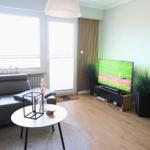 Wohnzimmer mit Sofa, Fernseher und Pflanzen.
