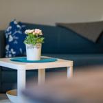 A white table with flowers in front of a blue sofa
