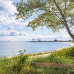 Sea view with beach, tree, and wooden railing in the foreground.