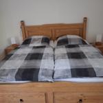 Double bed with wooden frame and checkered bedspread. Two nightstands with lamps.