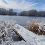 Snow-covered lake with shoreline vegetation and wooden dock in winter.