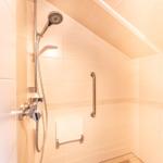 Shower with showerhead, grab bar, and towel holder on wall
