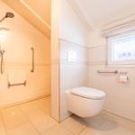 Shower with grab bar and toilet with grab bar and window