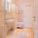 Badezimmer mit Dusche, Waschbecken und Toilette auf Holzboden.