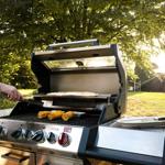 Grill mit Mais und Fisch im Garten bei Sonnenuntergang.
