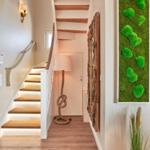 Haus mit Treppe, Seilgeländer und Wandbild mit Moos
