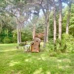 Green garden with trees, table, chairs, and a wicker furniture.