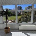 Große Fensterfront mit Blick auf Garten und Bäume. Pflanze im Korb steht im Vordergrund.