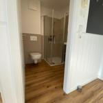 Badezimmer mit Dusche, WC und Holzboden