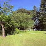 Grüner Garten mit Bäumen und Gartenmöbeln unter blauem Himmel.