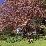 Hausansicht und Garten