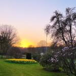 Sonnenuntergang über Rasenfläche mit Blumenbeet und Bäumen.