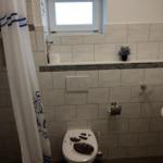 Badezimmer mit Toilette, Waschbecken und Dusche. Wandfliesen und Fenster sichtbar.