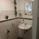 Badezimmer mit Waschbecken, Spiegel und Toilette. Wandfliesen und kleine Pflanzen.