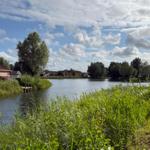 Calm water landscape with houses along the shore and green vegetation in the foreground.