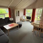 Living and dining area with sofa, table, chairs, and windows with red curtains.