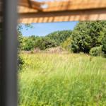Ausblick von einer Terrasse auf ein grünes Feld und einen Wald.