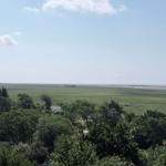 Weitläufiges Grünland mit Bäumen und Horizont unter blauem Himmel mit weißen Wolken.