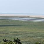 Weitläufiger Blick auf Strand und Watt mit Grünflächen im Vordergrund.