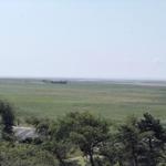 Weitläufige Grünfläche mit Blick auf Strand und Horizont. Bäume im Vordergrund.