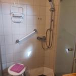 Duschbereich mit Handlauf, Duschstange und Sitzbank. Dusche mit Glaswand und Spiegel.