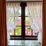 Through the window, one can see pink hydrangeas and green plants.