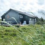 A gray wooden house with a terrace, picnic table, and lounge chair in a green landscape.