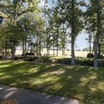 Green garden with trees and view of fields. Patio and wooden bridge visible.