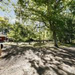 Forest path with view of a wooden cabin among trees.