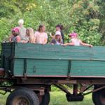Gruppe von Personen sitzt auf einem grünen Holzanhänger im Freien.