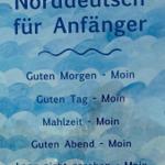 Norddeutsche Sprichwörter für Anfänger auf blauem Wellenmusterhintergrund.