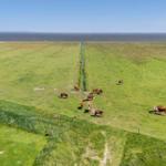 Aerielansicht von Ferienhäusern in Rvide Sande mit Blick auf das Meer und Windkraftanlagen.